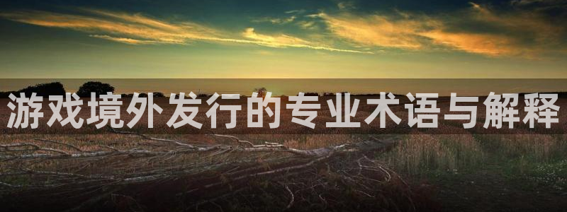 im电竞官网登录注册失败：游戏境外发行的专业术语与解释