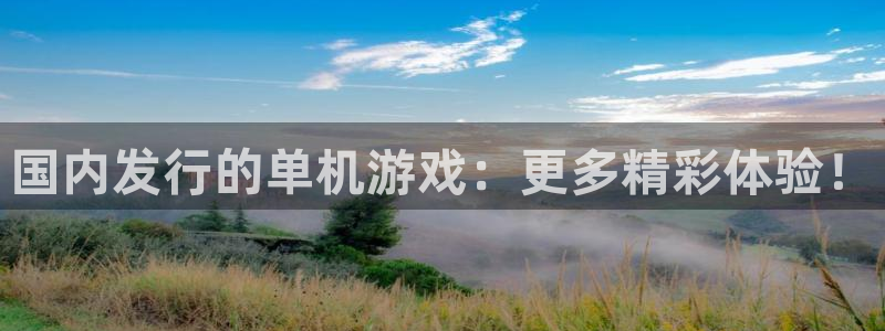 im电竞官网客服服务电话：国内发行的单机游戏：更多精彩体验！