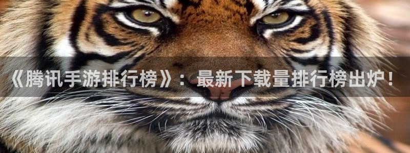im电竞官网登录注册不了怎么办：《腾讯手游排行榜》：最新下载量排行榜出炉！