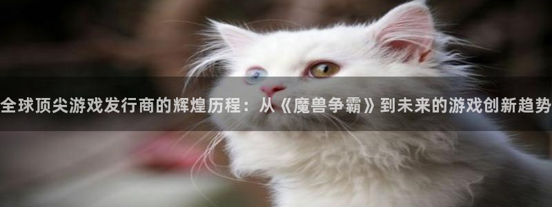 im电竞官网代理注册地址：全球顶尖游戏发行商的辉煌历程：从《魔兽争霸》到未来的游戏创新趋势