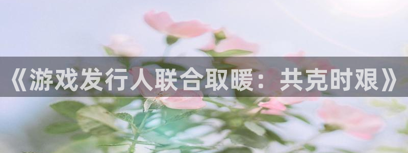 im电竞官网注册平台怎么注册账号：《游戏发行人联合取暖：共克时艰》