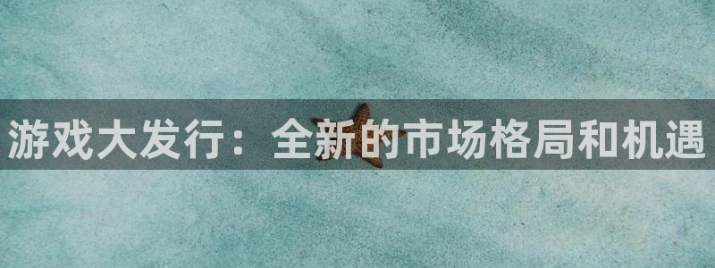 im电竞电子商务有限公司电话：游戏大发行：全新的市场格局和机遇