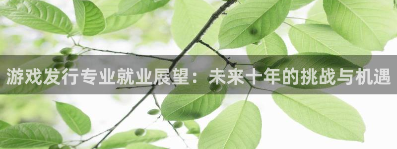 im电竞实业投资(东莞)有限公司：游戏发行专业就业展望：未来十年的挑战与机遇