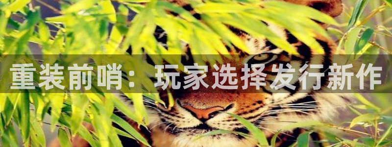 im电竞官网挂机项目怎么样：重装前哨：玩家选择发行新作