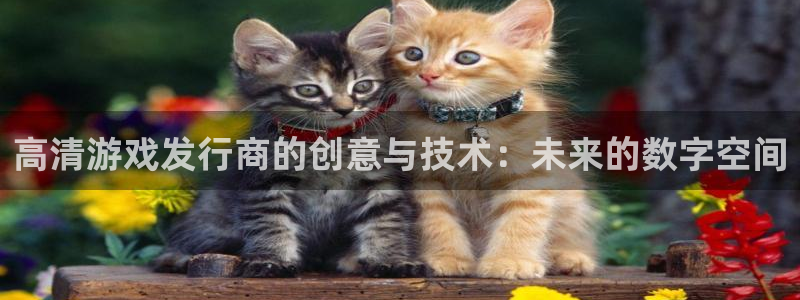 广东im电竞电子商务有限公司电话