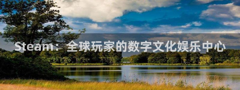 im电竞电子科技