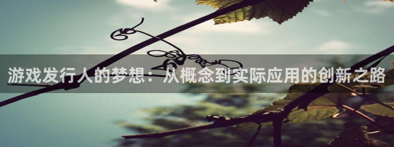 我要看im电竞：游戏发行人的梦想：从概念到实际应用的创新之路