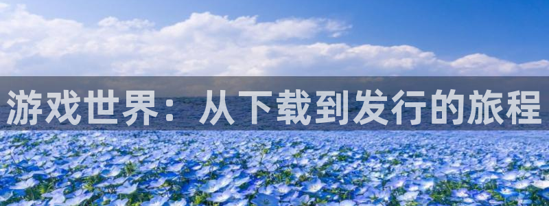 im电竞子经理人：游戏世界：从下载到发行的旅程