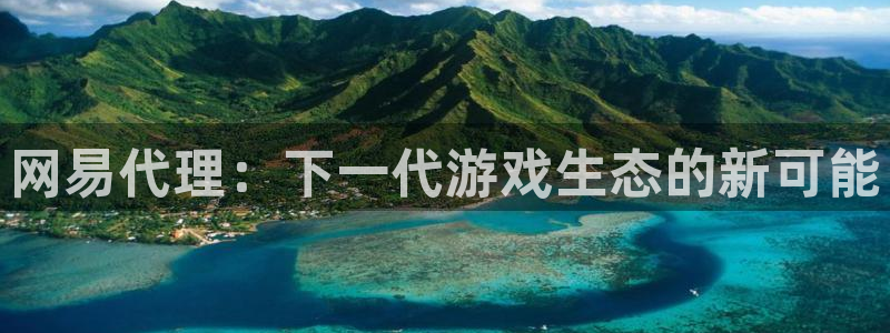 im电竞集团：网易代理：下一代游戏生态的新可能