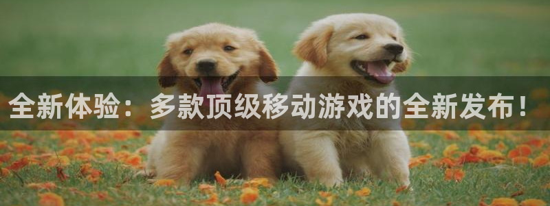 im电竞工坊：全新体验：多款顶级移动游戏的全新发布！