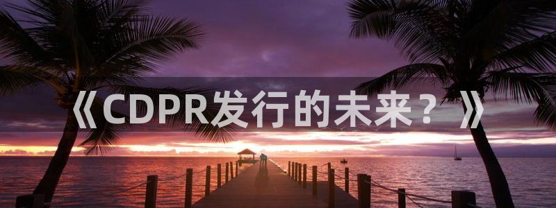 im电竞官网注册平台怎么样可靠吗：《CDPR发行的未来？》