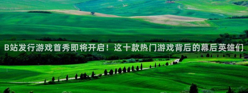 im电竞官网代理开号平台：B站发行游戏首秀即将开启！这十款热门游戏背后的幕后英雄们