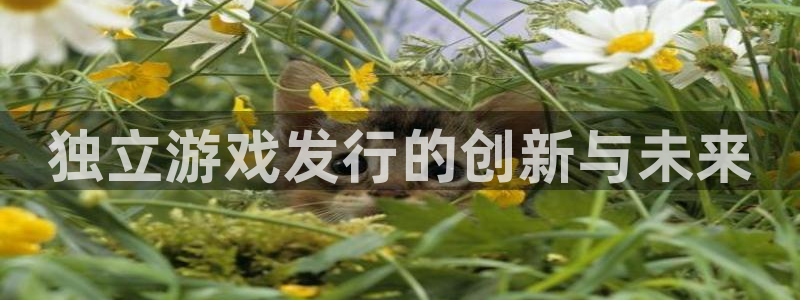 im电竞子集团