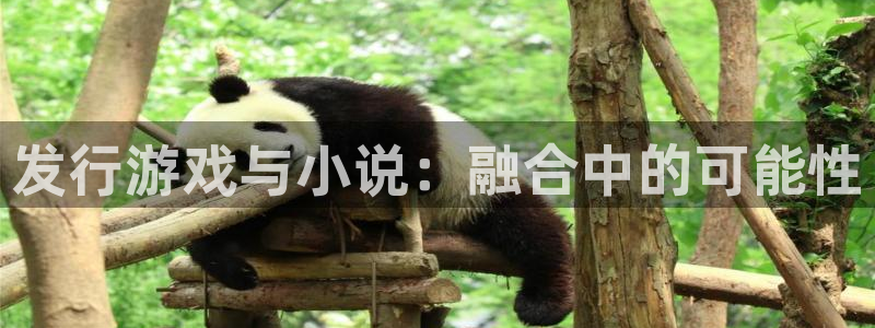 im电竞官网注册平台：发行游戏与小说：融合中的可能性