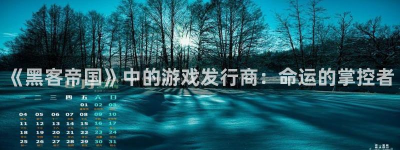 深圳im电竞电商