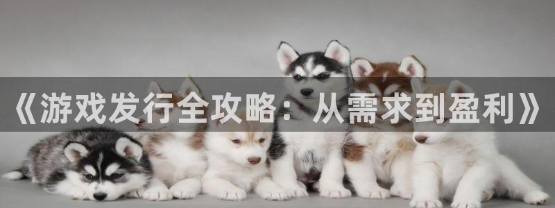 im电竞官网主营业务：《游戏发行全攻略：从需求到盈利》