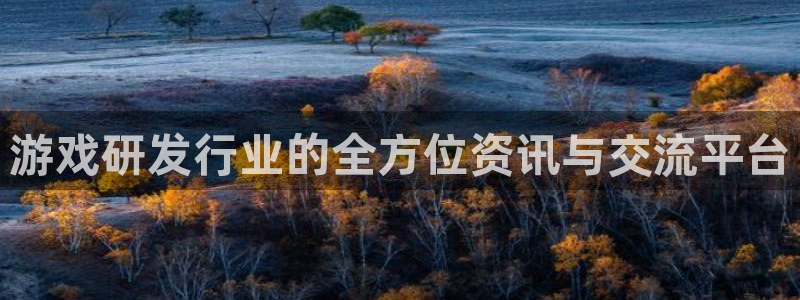 im电竞子图片：游戏研发行业的全方位资讯与交流平台