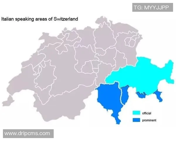 德国与瑞士足球比赛直播信号获取指南及观看方式介绍