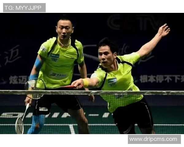 重庆羽毛球队防守策略揭秘深度解析羽毛球技术与战术的完美结合