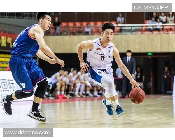 重庆篮球队近期状态分析与未来发展展望聚焦篮球热潮